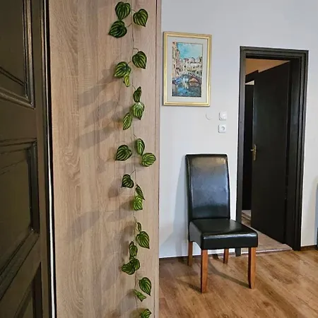 Apartment Artist