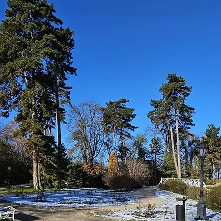 شقة Artist كيستاي