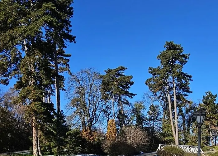 דירה Artist קסזטלי